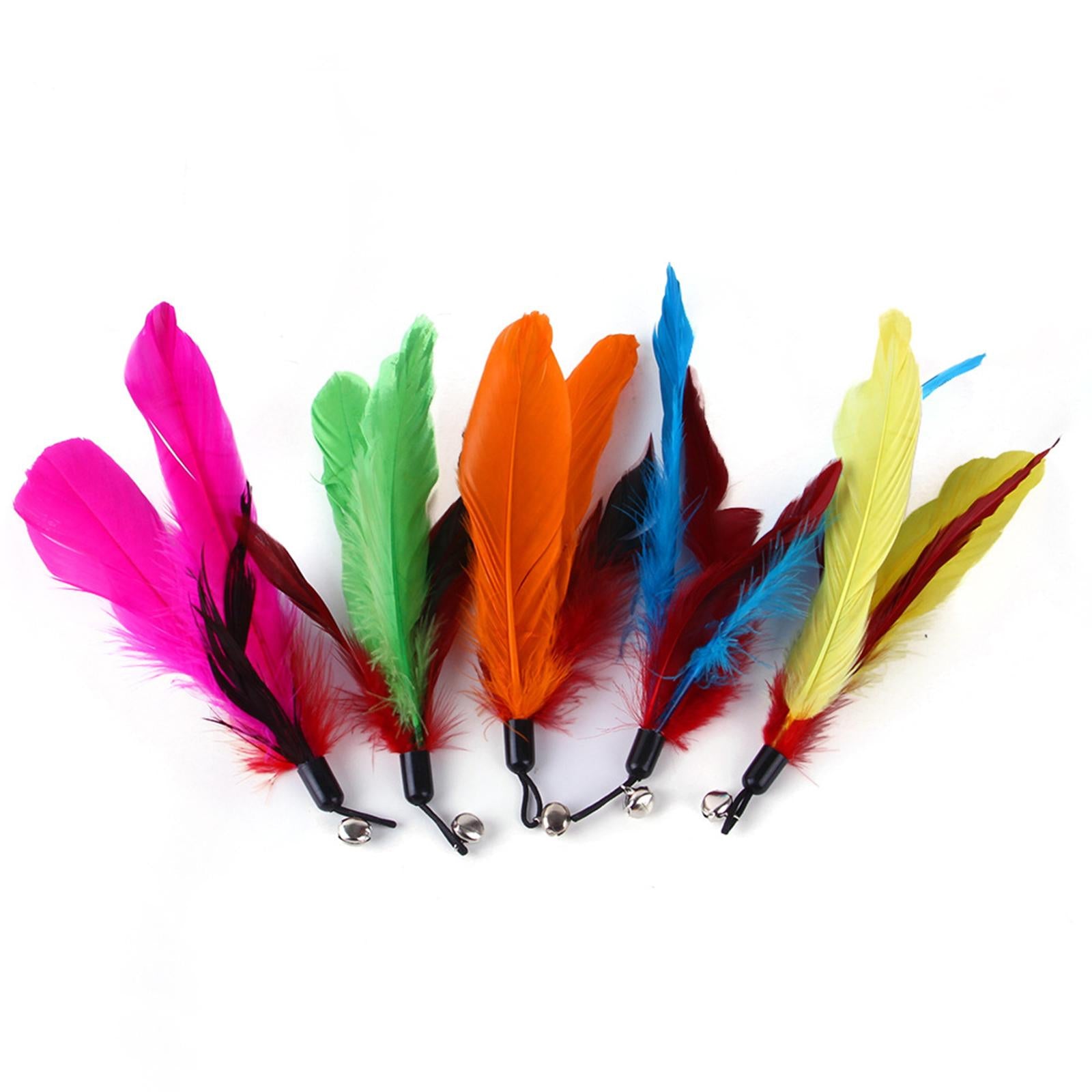 Funny Cat Feather Teaser Wand Toys with 10 Refills Training Toy Pet Supplies