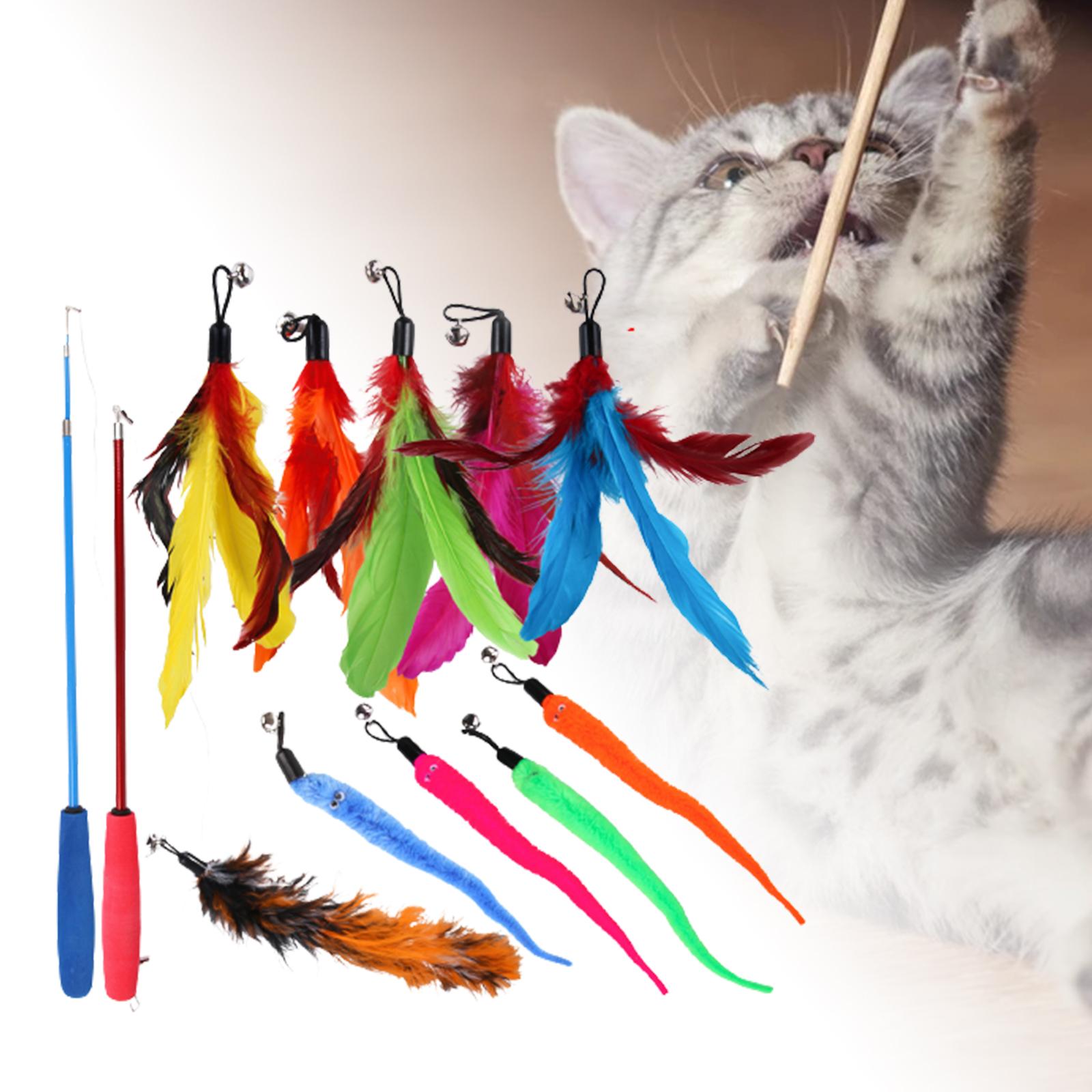 Funny Cat Feather Teaser Wand Toys with 10 Refills Training Toy Pet Supplies