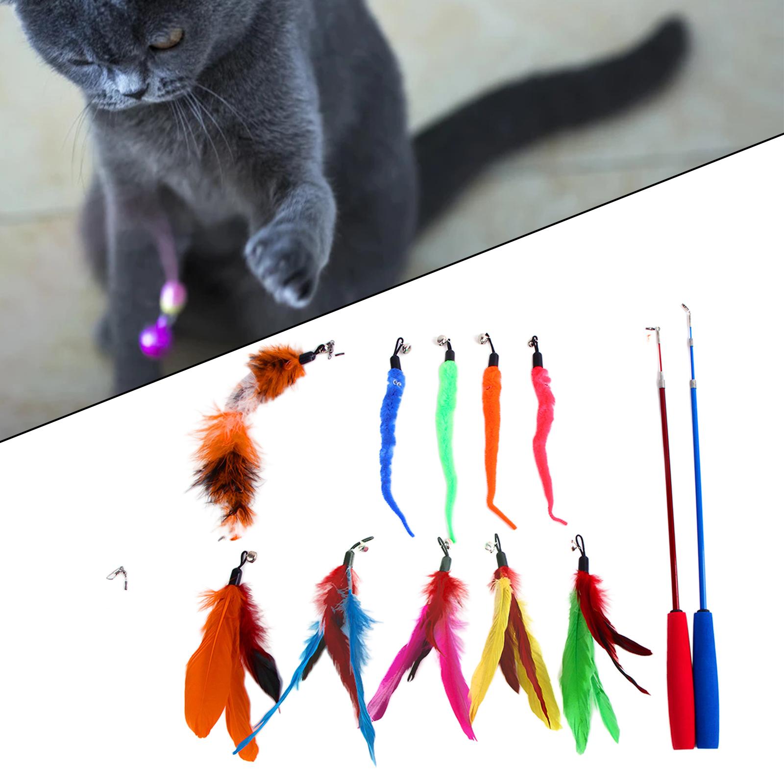 Funny Cat Feather Teaser Wand Toys with 10 Refills Training Toy Pet Supplies