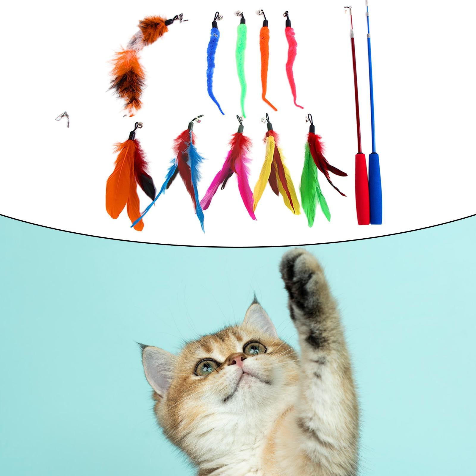 Funny Cat Feather Teaser Wand Toys with 10 Refills Training Toy Pet Supplies