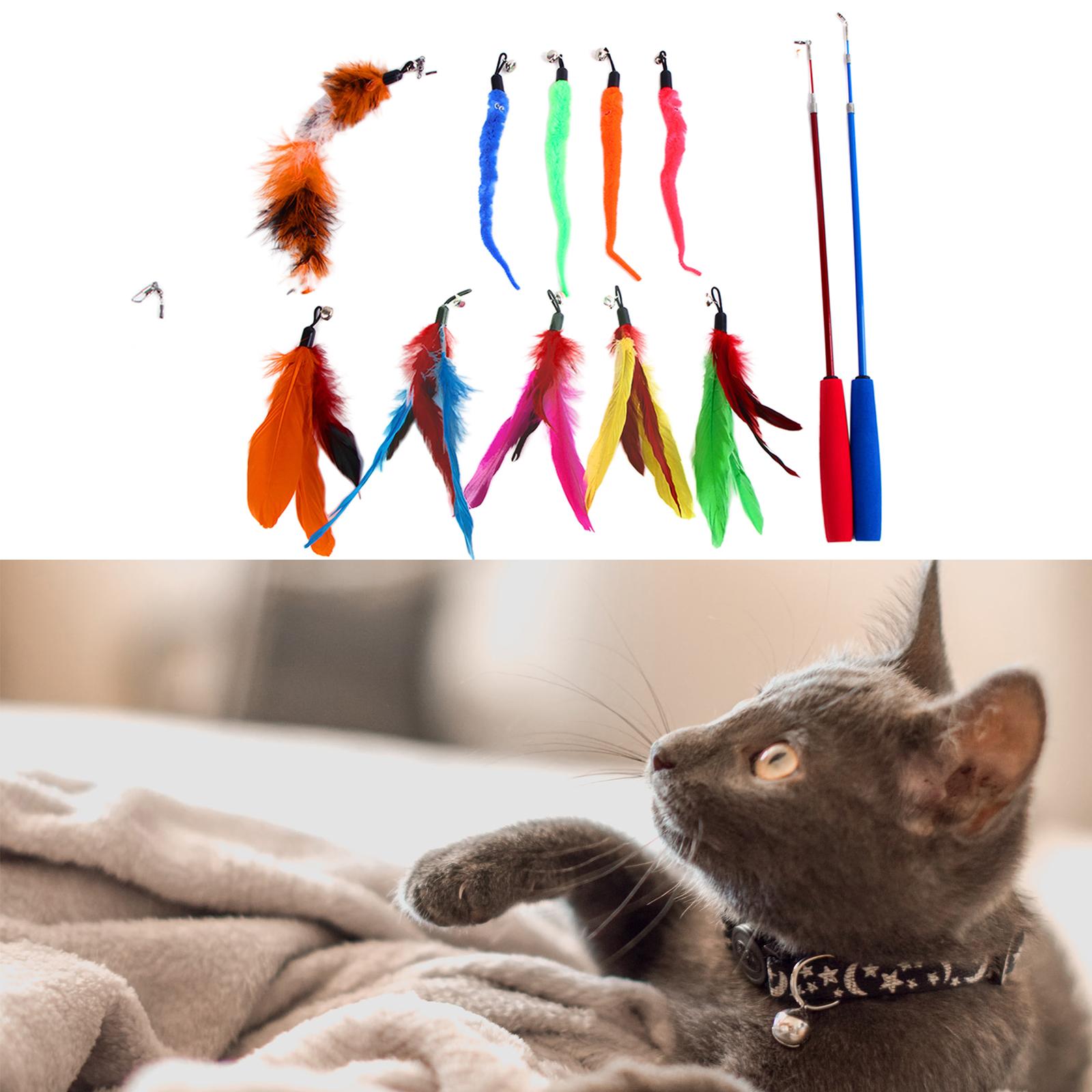 Funny Cat Feather Teaser Wand Toys with 10 Refills Training Toy Pet Supplies