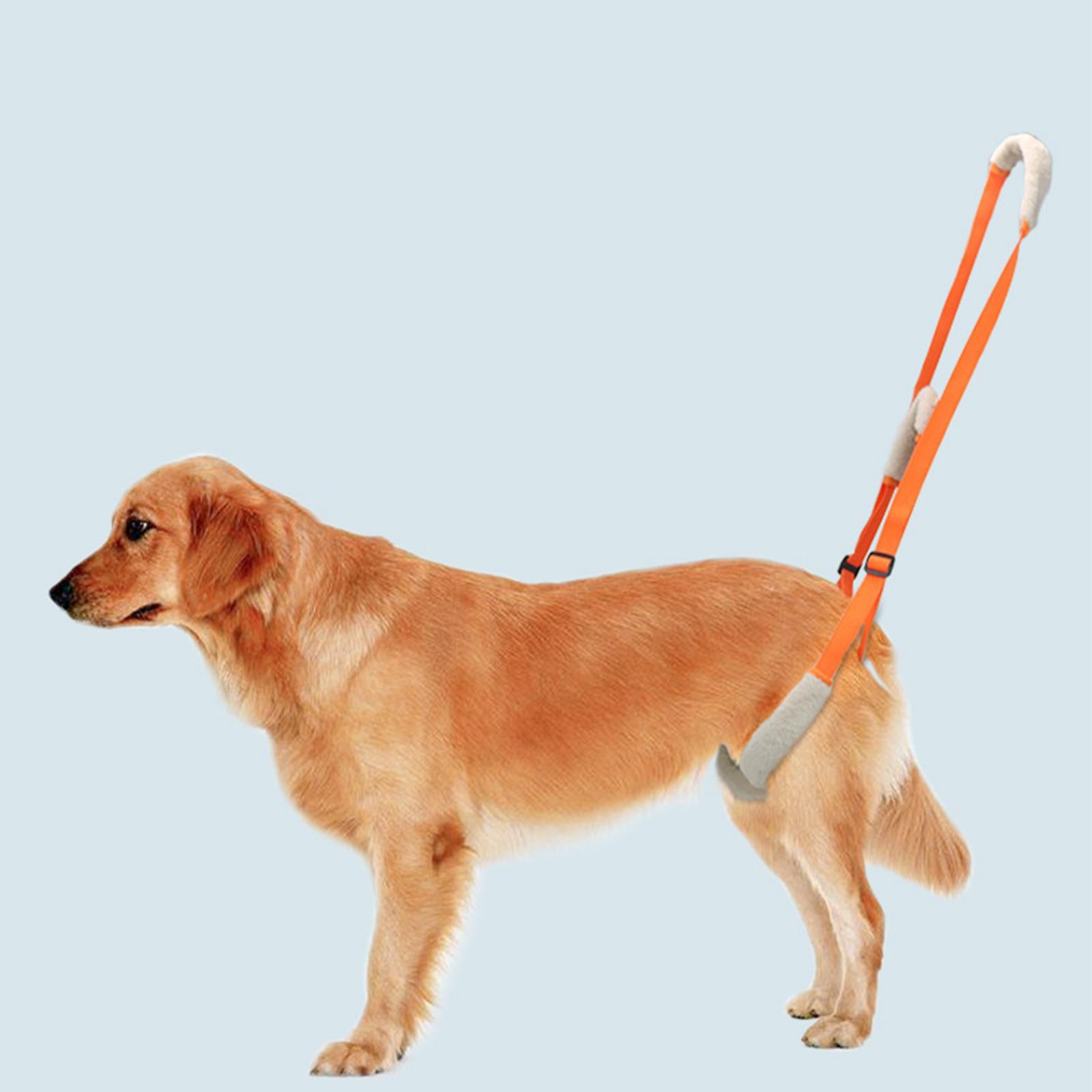 Dog Lift Harness Pets Rear Support Helpful for Senior Dogs Injured Weak Legs