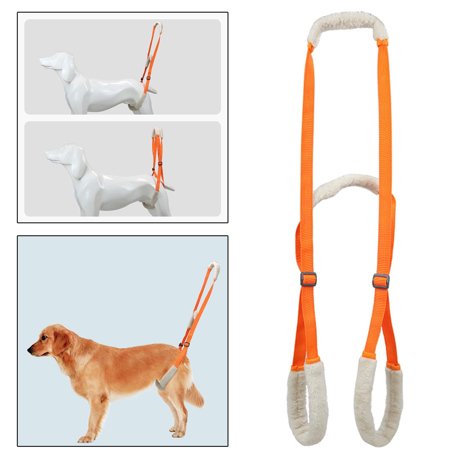 Dog Lift Harness Pets Rear Support Helpful for Senior Dogs Injured Weak Legs