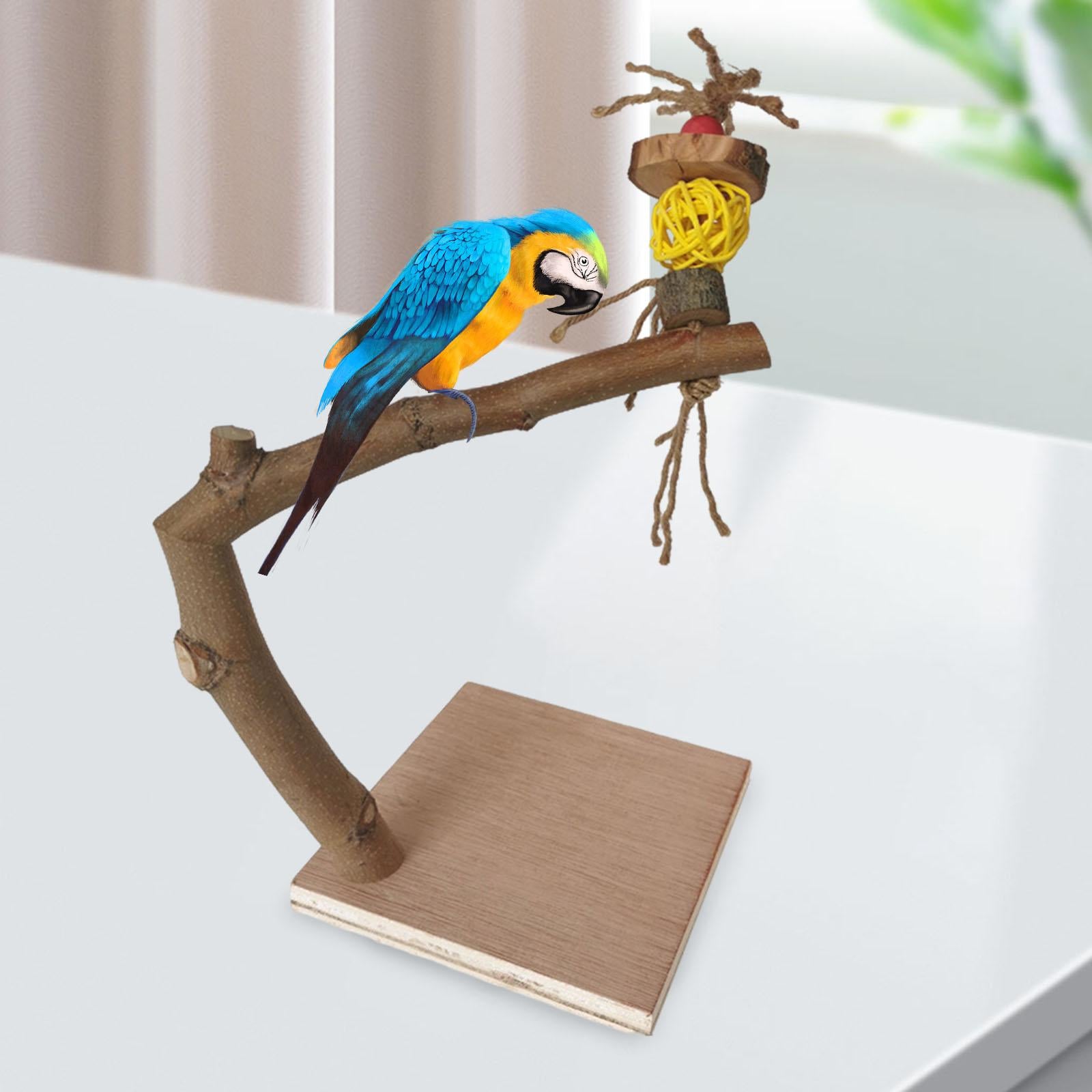 Bird Stand Toys with Base Parrot Perch Cage Accessory Paw Grinding Stick