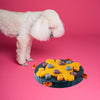 Interactive Pet Dog Food Puzzle Toy Treat Dispensing Dogs Slow Feeder Blue