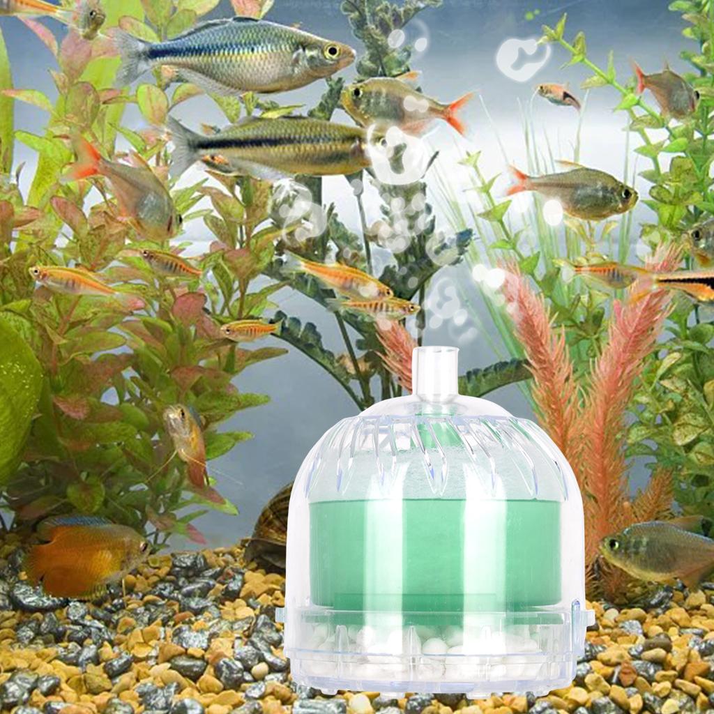 Fish Stool Suction Collector Fishing Tank Increase Oxygen Round Green