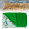 Warm Reptile Sleeping Bag Lizard Bed Mat Gecko Chameleons Supplies Green