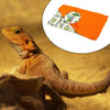 Reptile Sleeping Bag with Pillow and Blanket Bearded Dragon Hideout Habitat Beige and Orange