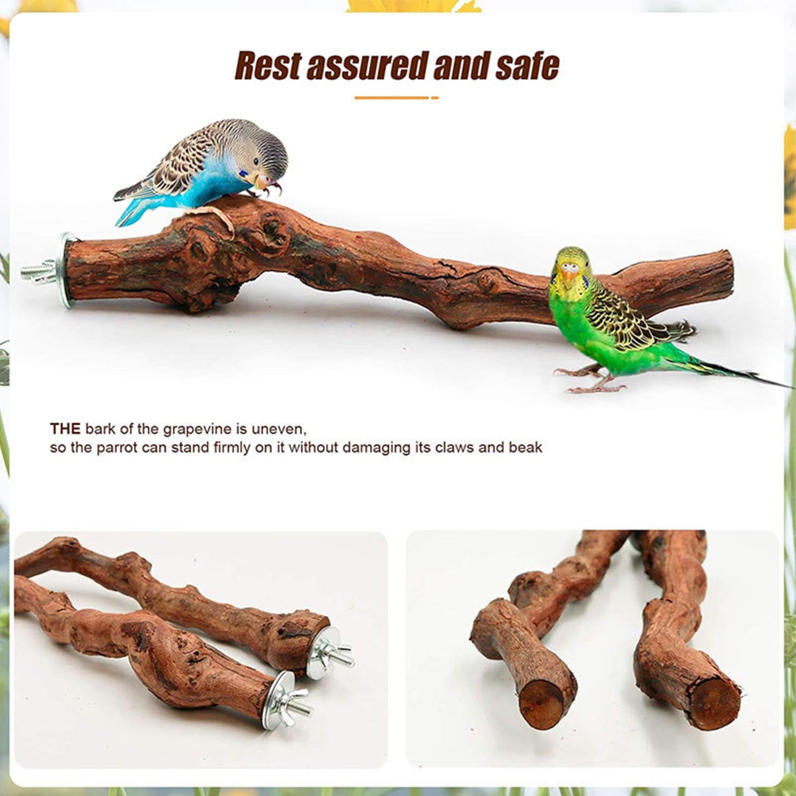 Wood Fork Hanging Parrot Stand Tree Branch Resk Holder Toys Perches Grinding Two Branches