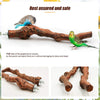 Wood Fork Hanging Parrot Stand Tree Branch Resk Holder Toys Perches Grinding Two Branches