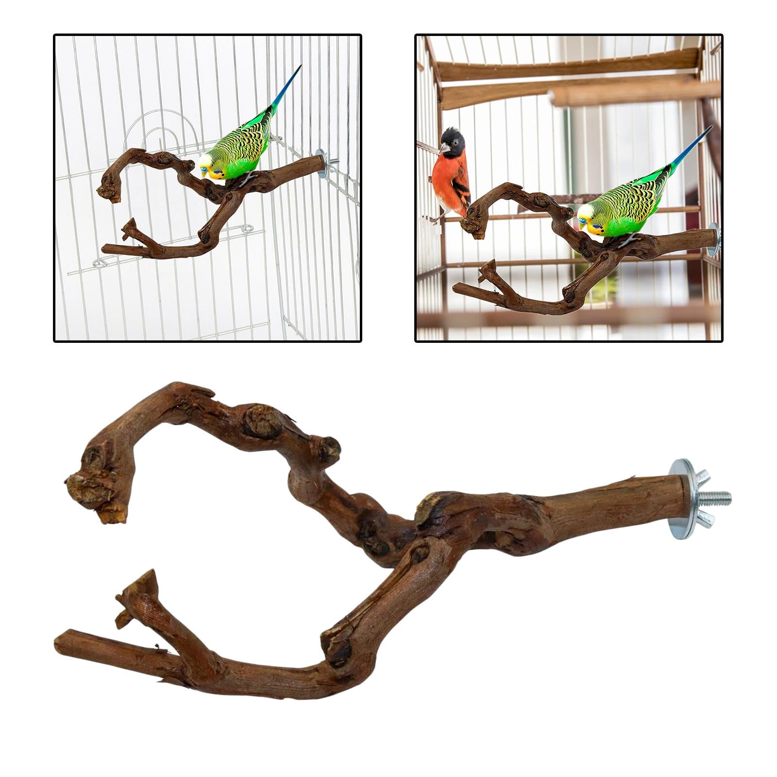 Wood Fork Hanging Parrot Stand Tree Branch Resk Holder Toys Perches Grinding Two Branches