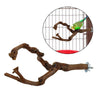 Wood Fork Hanging Parrot Stand Tree Branch Resk Holder Toys Perches Grinding Two Branches