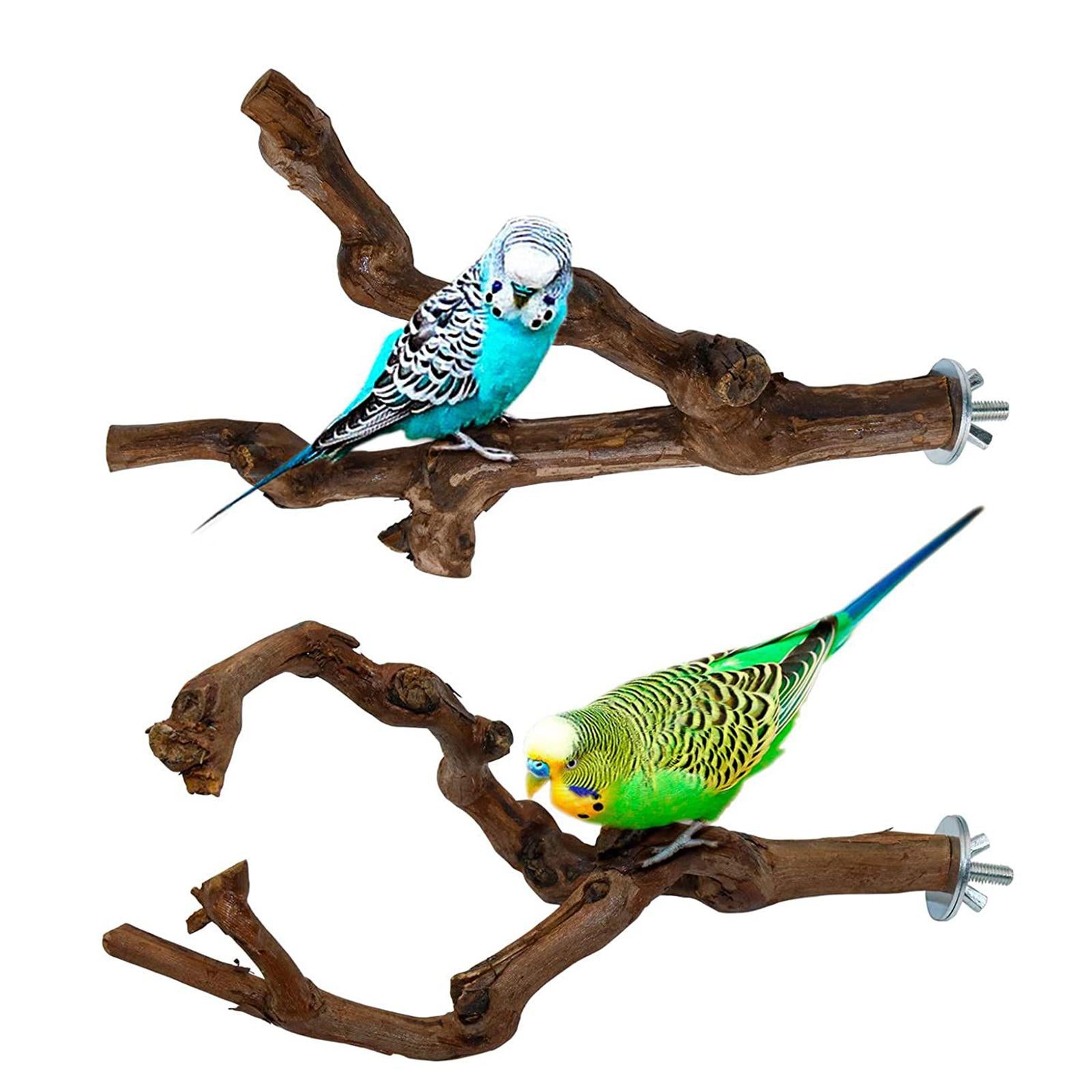 Wood Fork Hanging Parrot Stand Tree Branch Resk Holder Toys Perches Grinding Two Branches