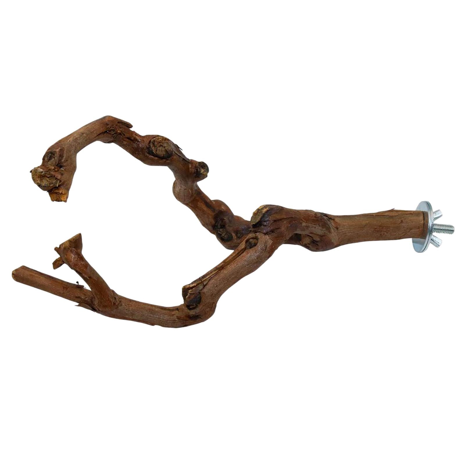 Wood Fork Hanging Parrot Stand Tree Branch Resk Holder Toys Perches Grinding Two Branches