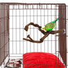 Wood Fork Hanging Parrot Stand Tree Branch Resk Holder Toys Perches Grinding Two Branches