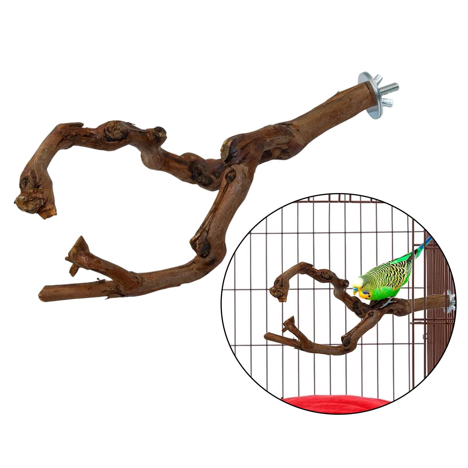 Wood Fork Hanging Parrot Stand Tree Branch Resk Holder Toys Perches Grinding Two Branches