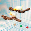 Wood Fork Hanging Parrot Stand Tree Branch Resk Holder Toys Perches Grinding Two Branches