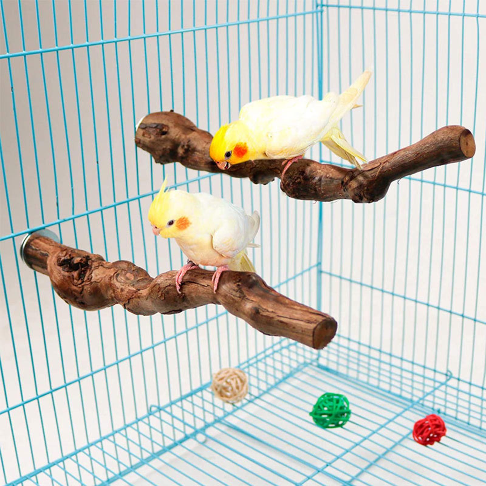 Wood Fork Hanging Parrot Stand Tree Branch Resk Holder Toys Perches Grinding One Branches