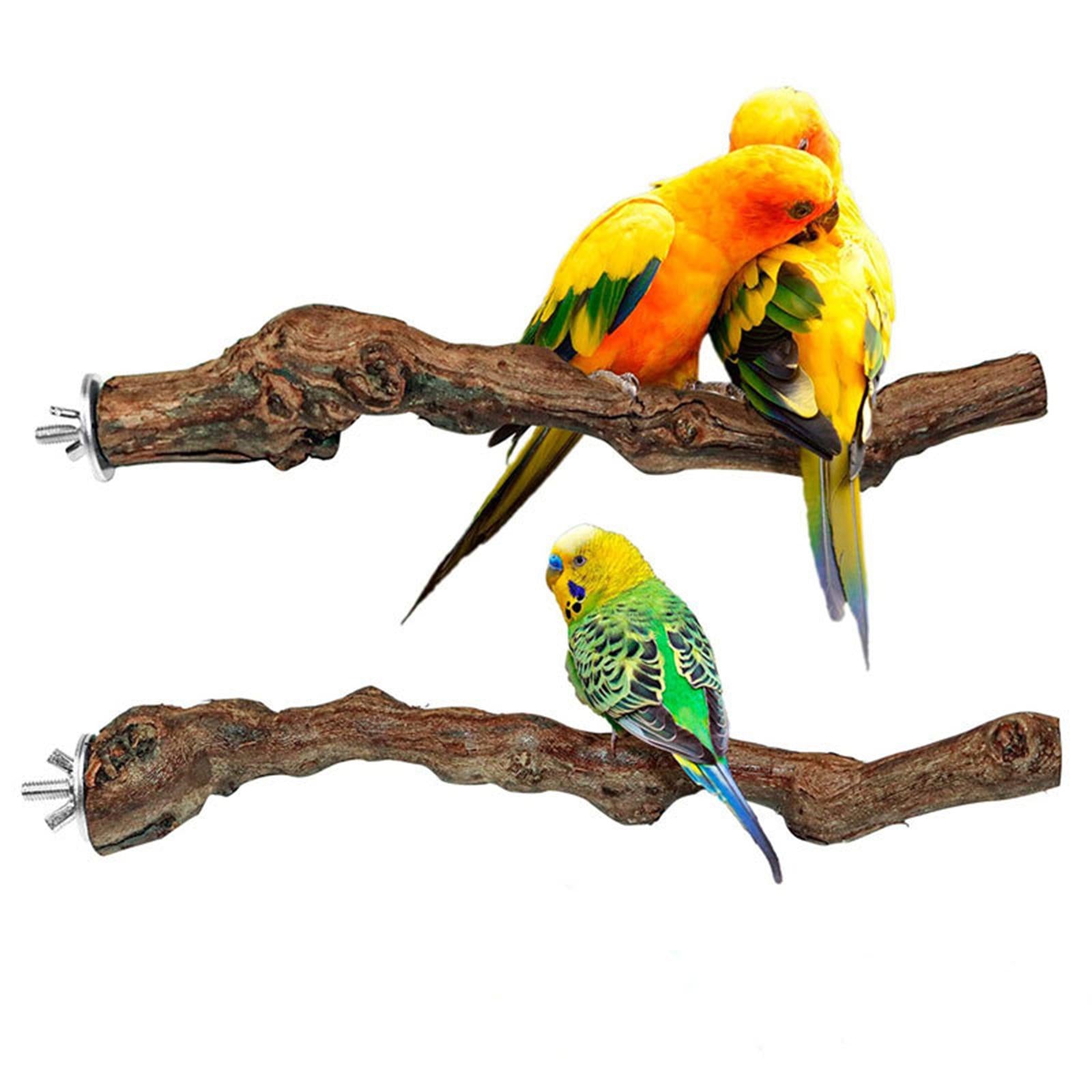 Wood Fork Hanging Parrot Stand Tree Branch Resk Holder Toys Perches Grinding One Branches