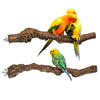 Wood Fork Hanging Parrot Stand Tree Branch Resk Holder Toys Perches Grinding One Branches