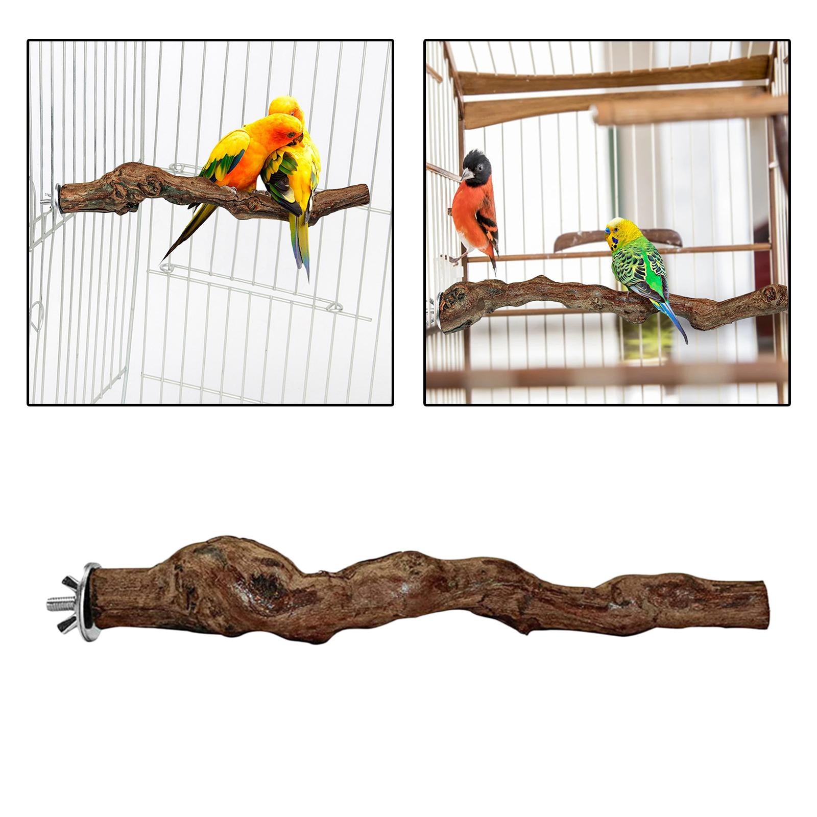 Wood Fork Hanging Parrot Stand Tree Branch Resk Holder Toys Perches Grinding One Branches