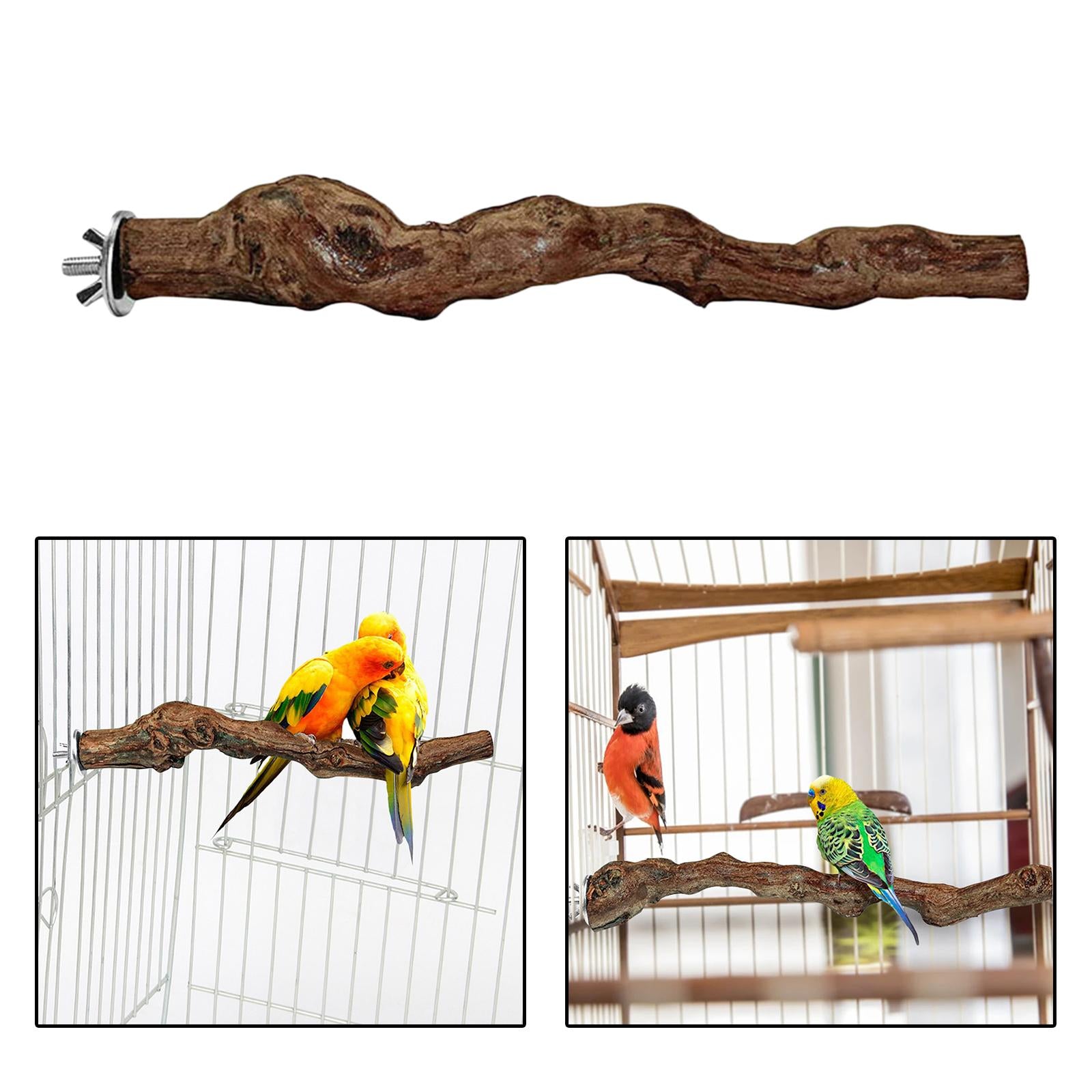 Wood Fork Hanging Parrot Stand Tree Branch Resk Holder Toys Perches Grinding One Branches