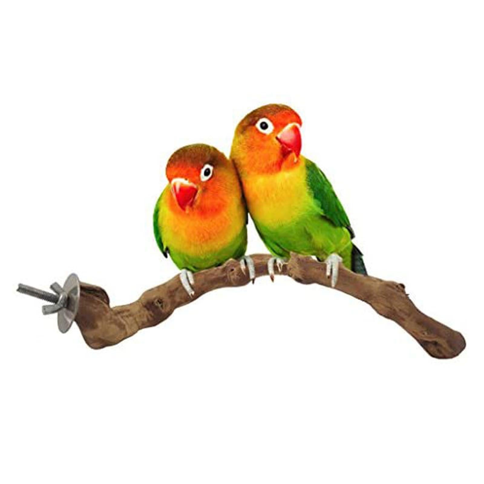 Wood Fork Hanging Parrot Stand Tree Branch Resk Holder Toys Perches Grinding One Branches