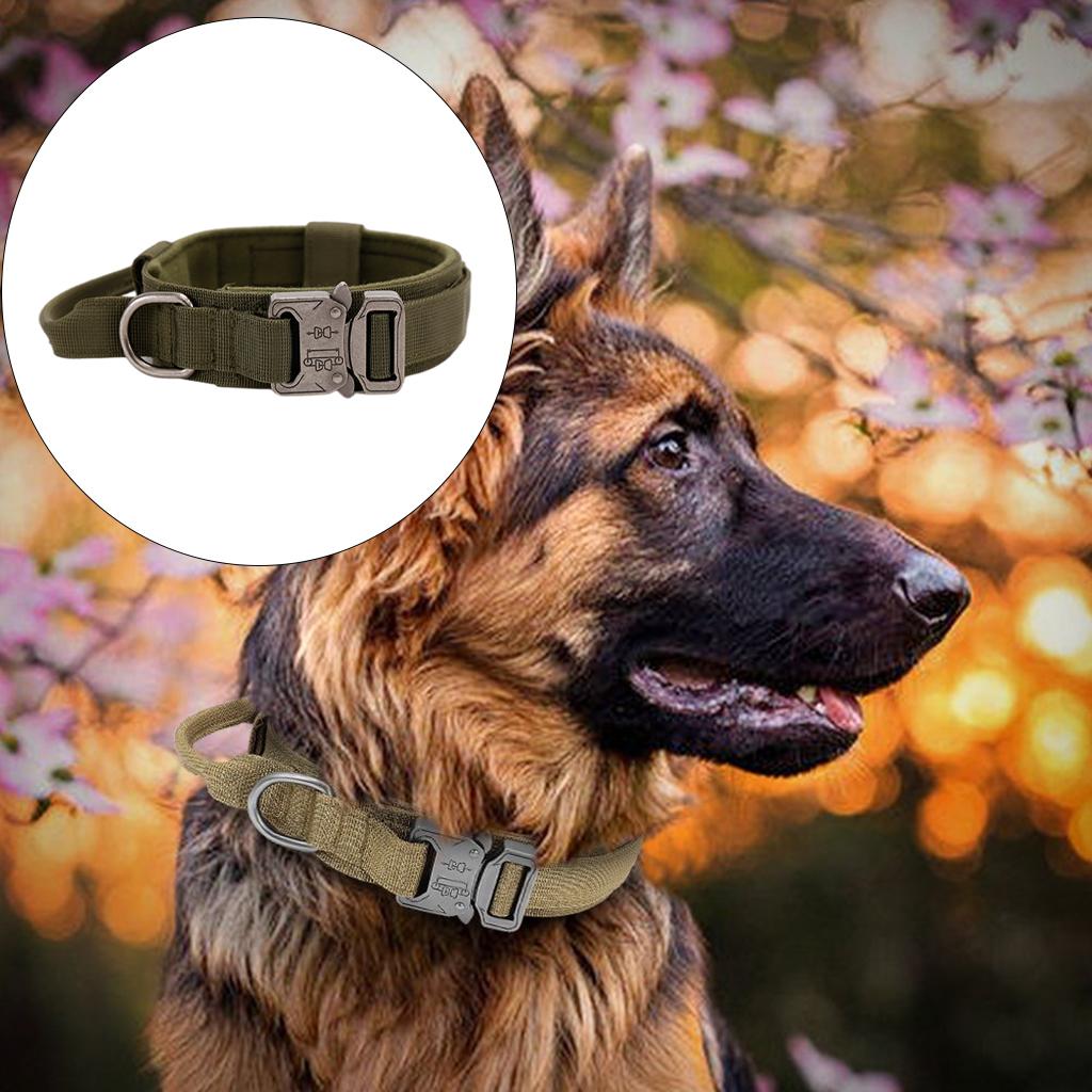 Pets Neck Belt Adjustable Nylon Dog Collar for Training Outdoor Walking Dark Green M:36-48