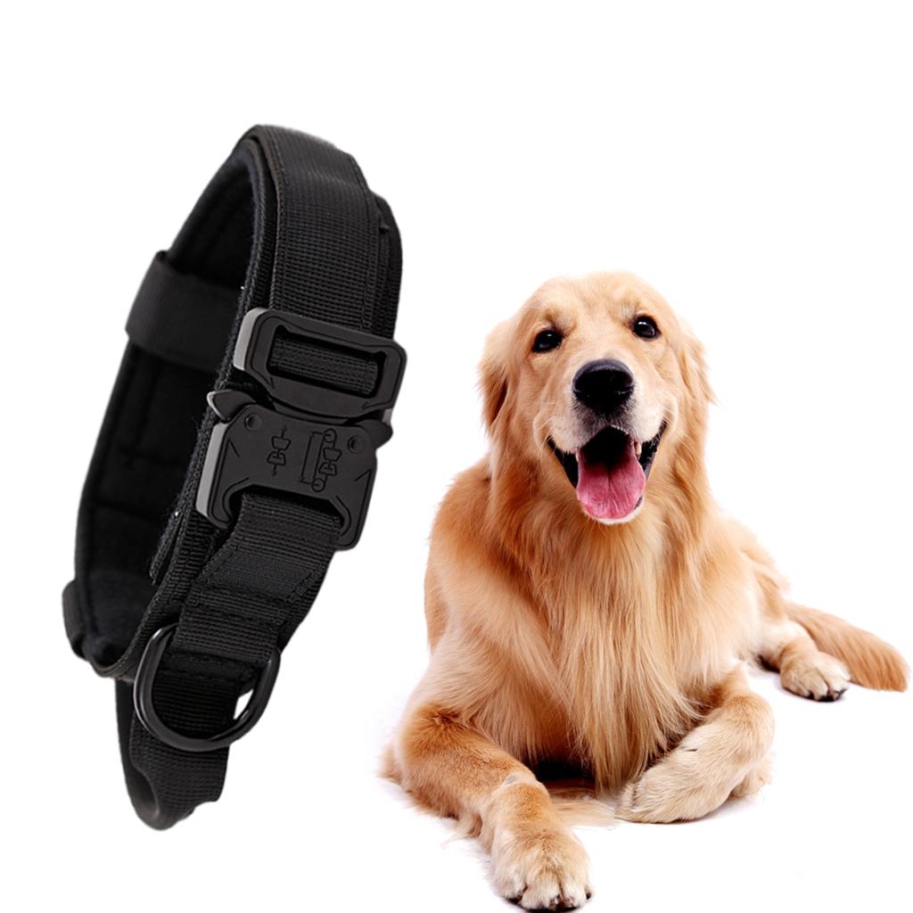 Pets Neck Belt Adjustable Nylon Dog Collar for Training Outdoor Walking Black L:42-54