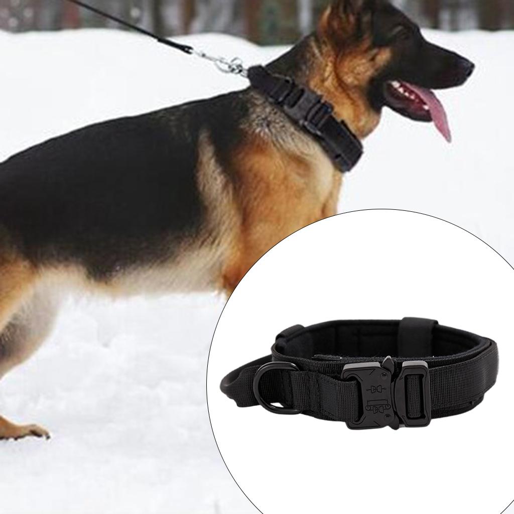 Pets Neck Belt Adjustable Nylon Dog Collar for Training Outdoor Walking Black L:42-54