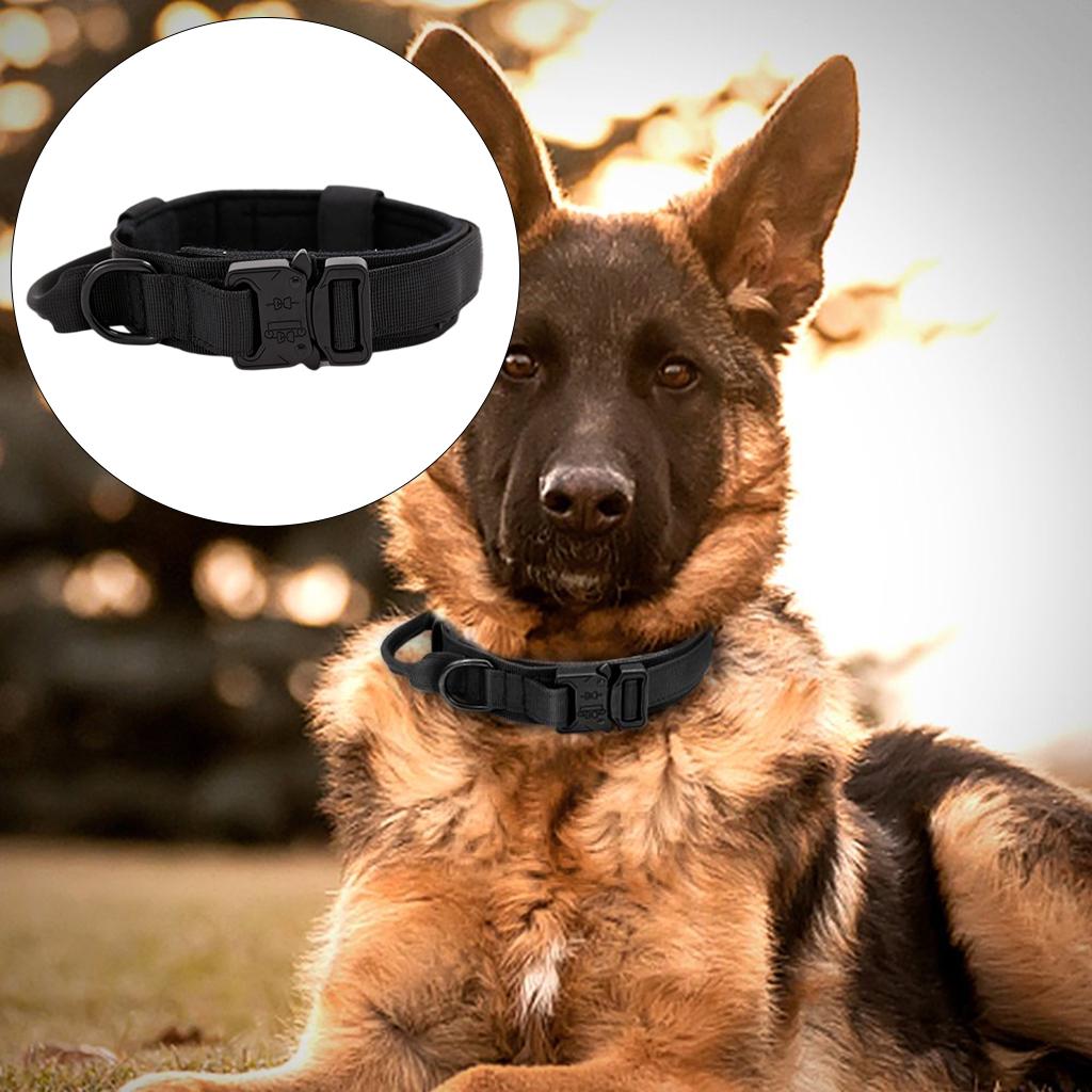 Pets Neck Belt Adjustable Nylon Dog Collar for Training Outdoor Walking Black L:42-54