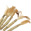 5Pcs Cat Chew Sticks Catnip Chew Toy Dental Molar Teeth Cleaning  Feather