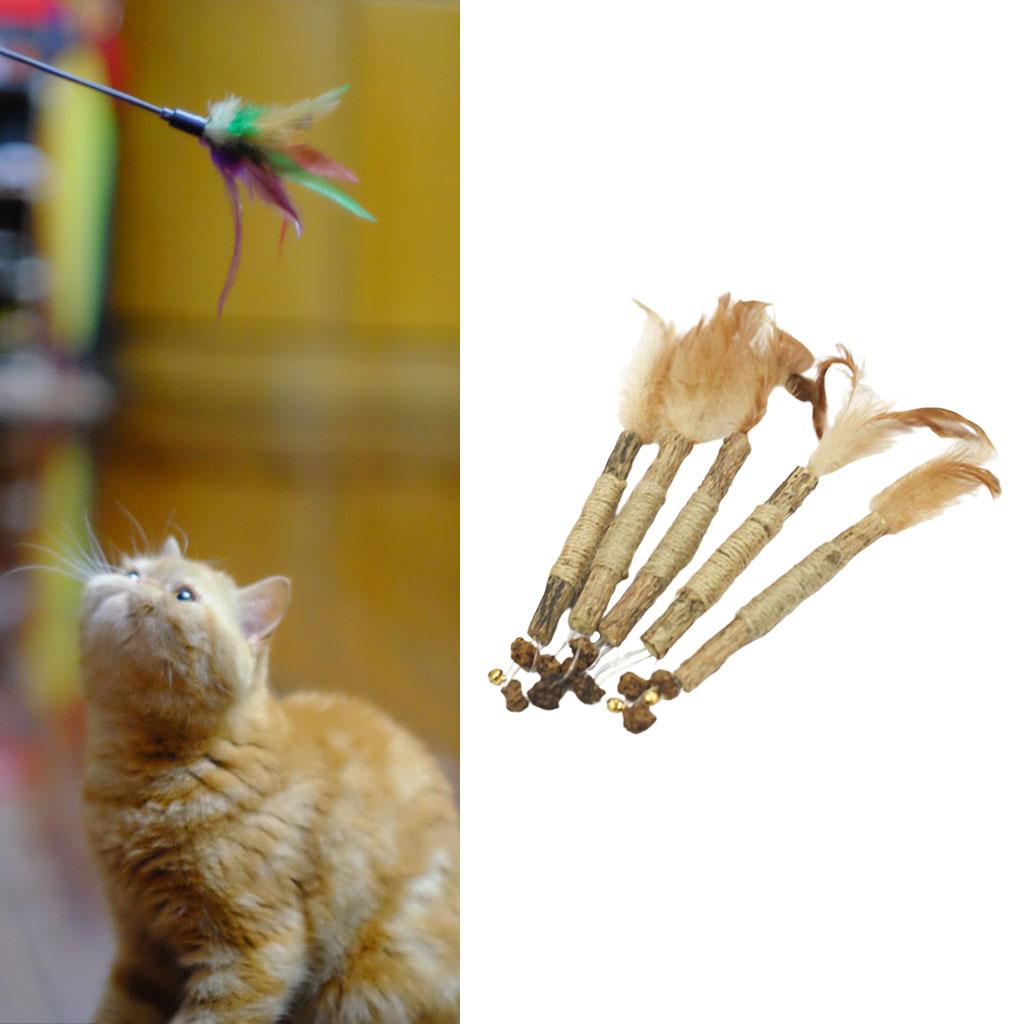 5Pcs Cat Chew Sticks Catnip Chew Toy Dental Molar Teeth Cleaning  Feather