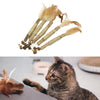 5Pcs Cat Chew Sticks Catnip Chew Toy Dental Molar Teeth Cleaning  Feather