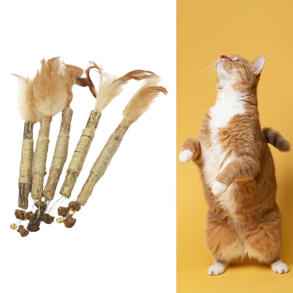 5Pcs Cat Chew Sticks Catnip Chew Toy Dental Molar Teeth Cleaning  Feather