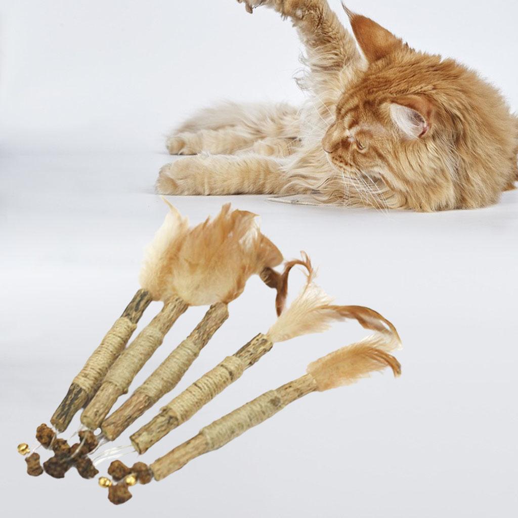 5Pcs Cat Chew Sticks Catnip Chew Toy Dental Molar Teeth Cleaning  Feather