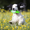 Pet Dog Chew Toy Molar Stick Dental Oral Care Teeth Cleaning Toothbrush Toy Green