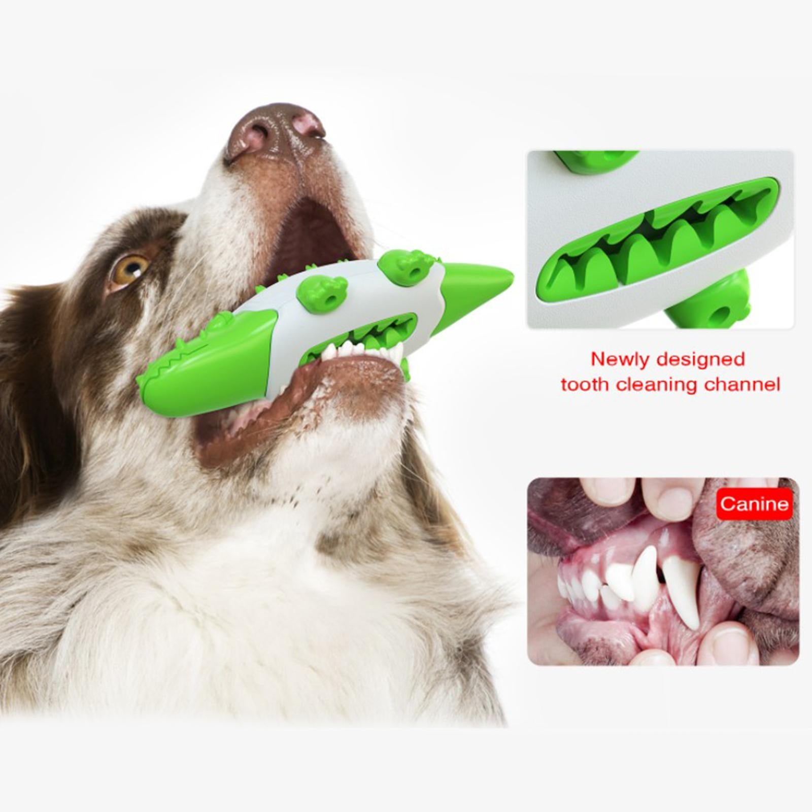 Pet Dog Chew Toy Molar Stick Dental Oral Care Teeth Cleaning Toothbrush Toy Green