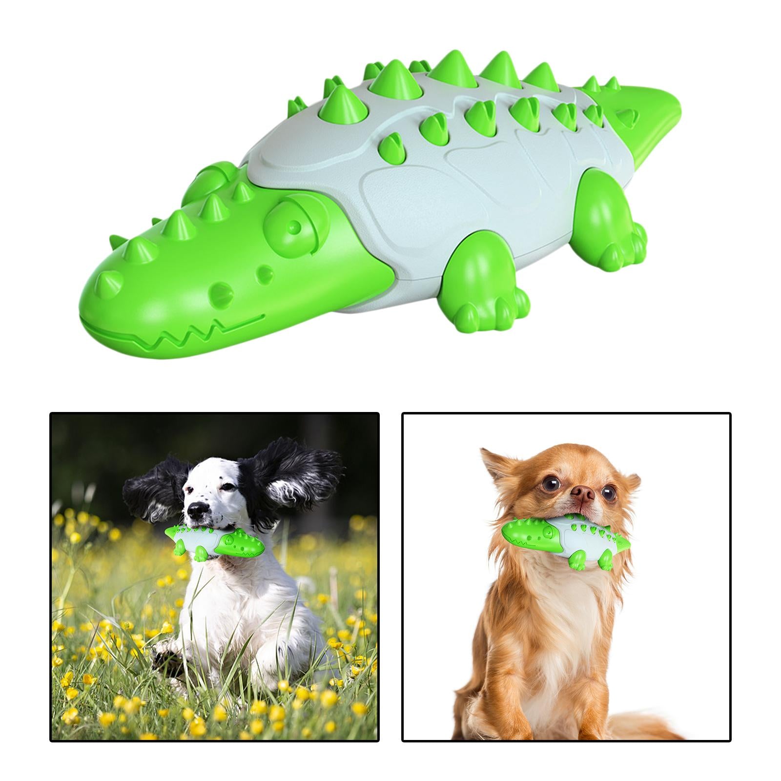 Pet Dog Chew Toy Molar Stick Dental Oral Care Teeth Cleaning Toothbrush Toy Green