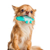 Pet Dog Chew Toy Molar Stick Dental Oral Care Teeth Cleaning Toothbrush Toy Lake Blue