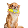 Pet Dog Chew Toy Molar Stick Dental Oral Care Teeth Cleaning Toothbrush Toy Yellow