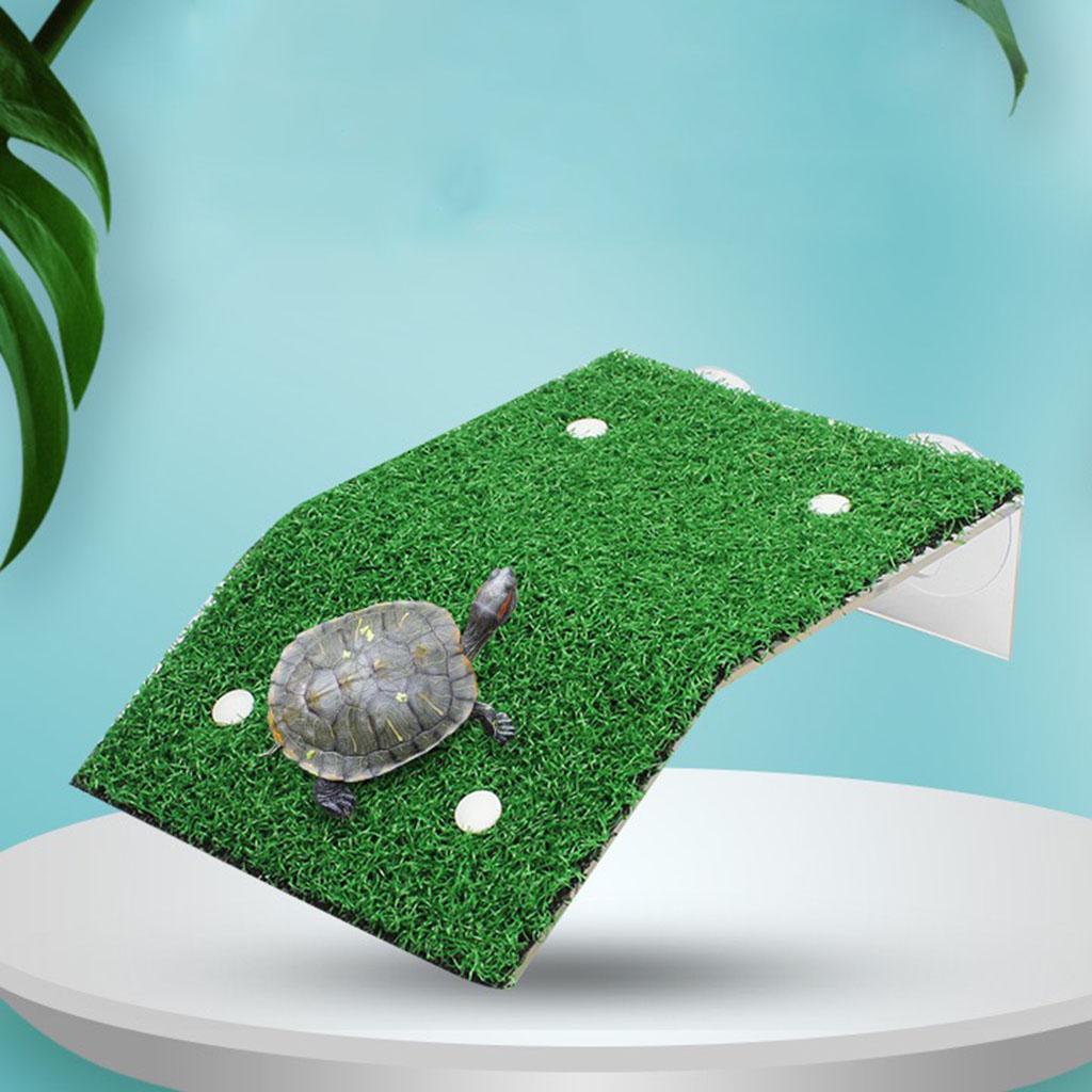 Turtle Basking Platform Ramp Turtle Bottom Terrapin Decoration 12x20x5.2cm