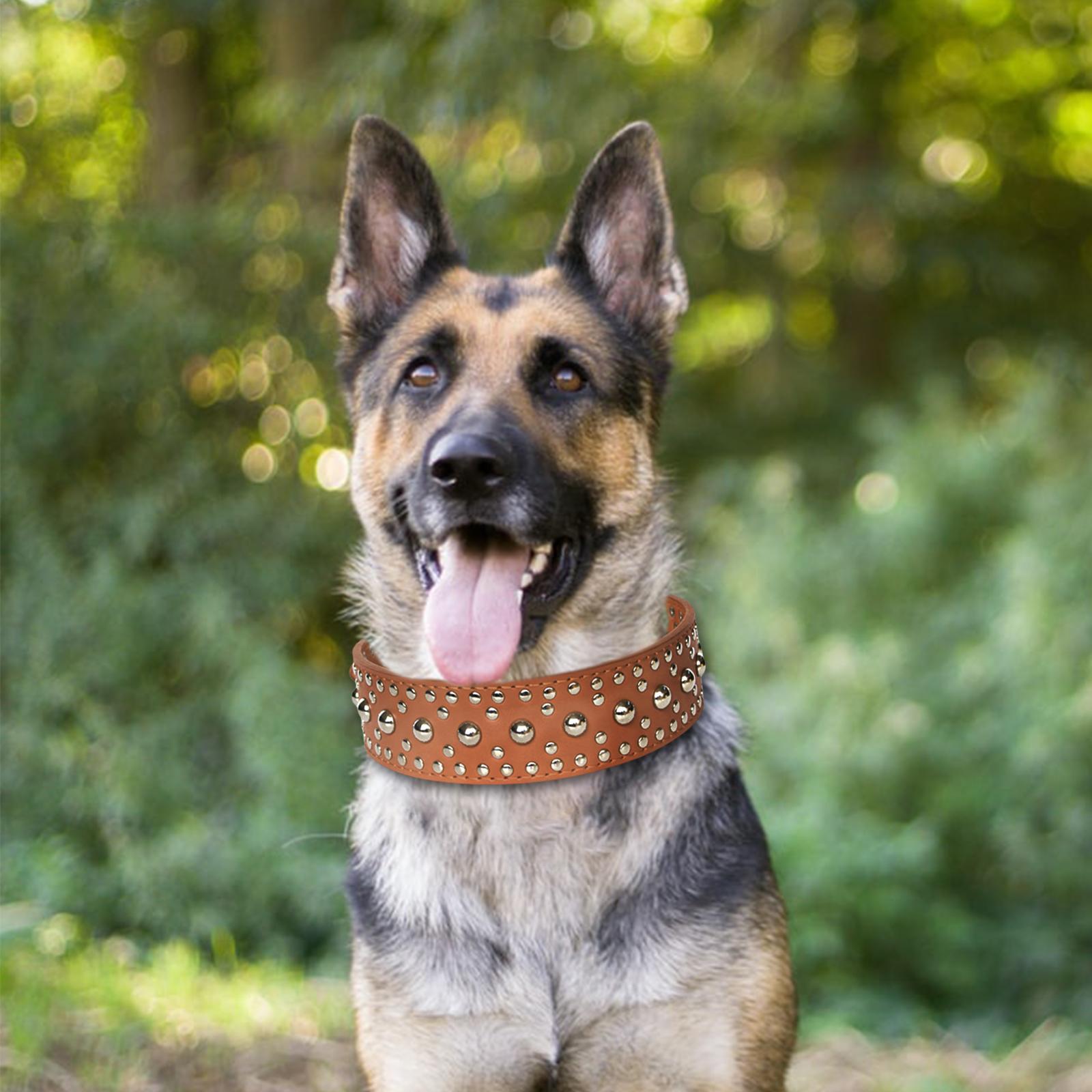 Puppy Collar Fashional for Walking Large Breed Dogs German Shepherd Dog L Brown