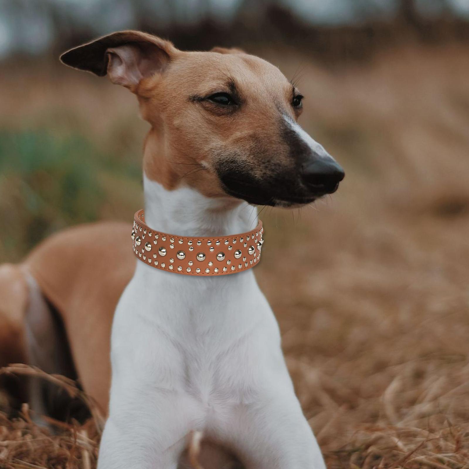 Puppy Collar Fashional for Walking Large Breed Dogs German Shepherd Dog L Brown