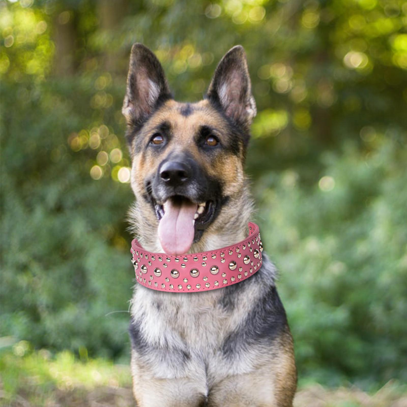 Puppy Collar Fashional for Walking Large Breed Dogs German Shepherd Dog S Pink