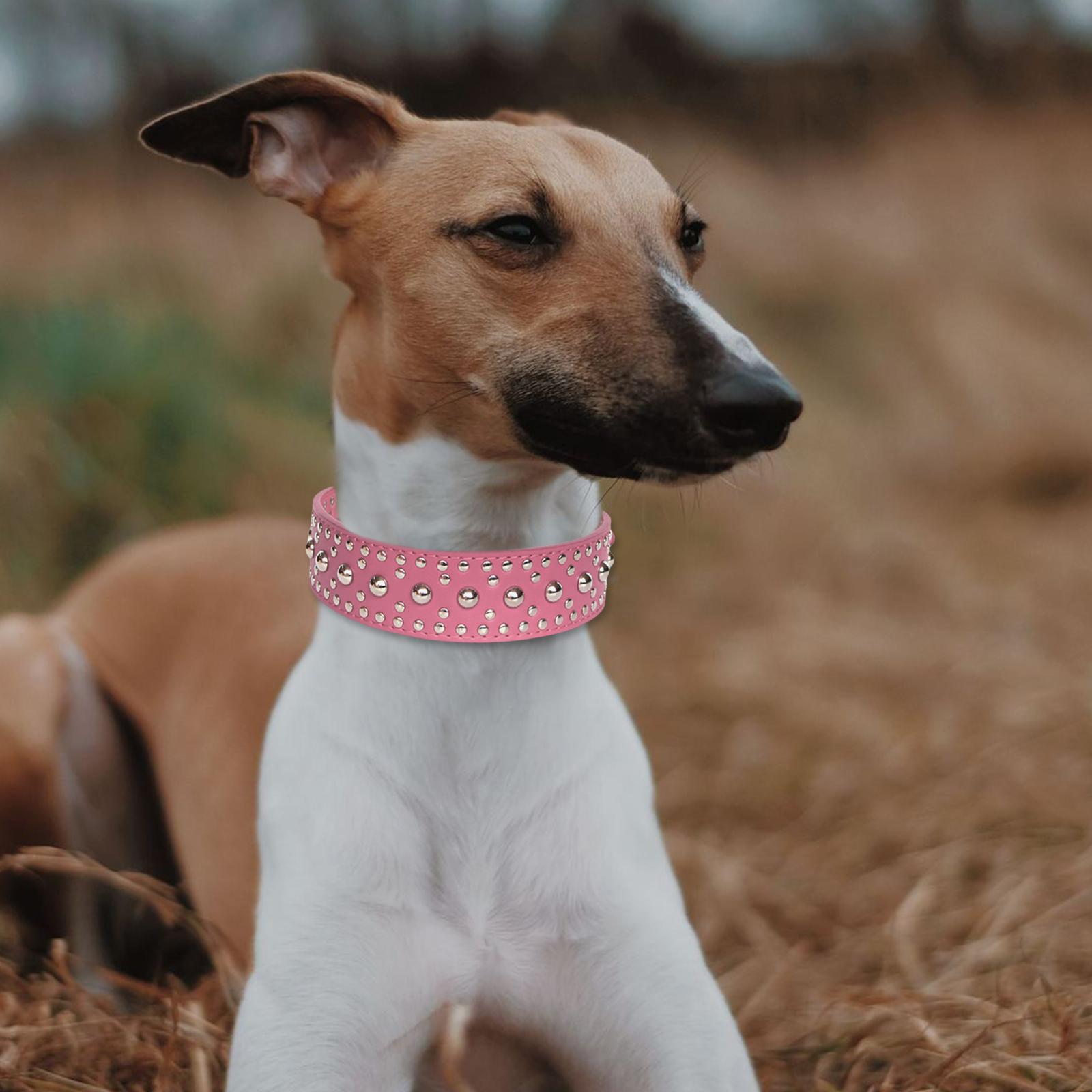 Puppy Collar Fashional for Walking Large Breed Dogs German Shepherd Dog S Pink