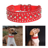 Puppy Collar Fashional for Walking Large Breed Dogs German Shepherd Dog M Red