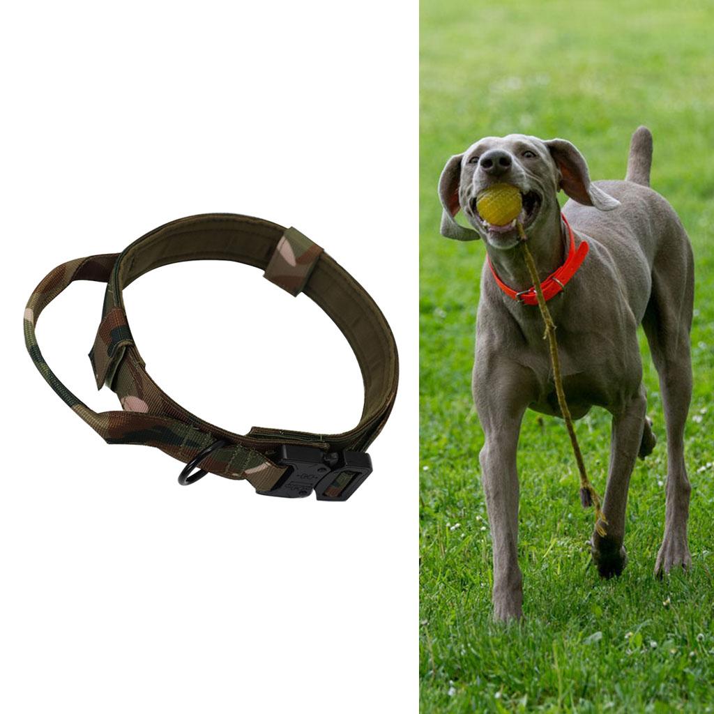 Dog Collar Soft for Small Medium Large Dogs XL Dog Collar