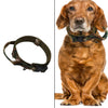 Dog Collar Soft for Small Medium Large Dogs XL Dog Collar