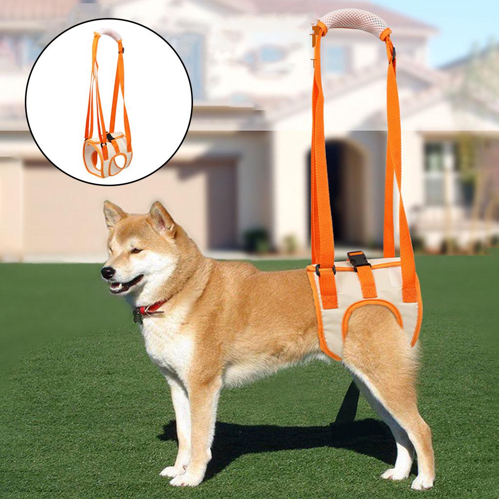 Dog Lifting Harness Rear Legs Sling Front Back Leg Support Harness Strap XL